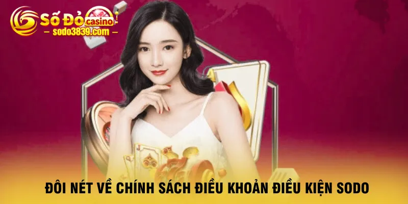 doi-net-ve-chinh-sach-dieu-khoan-dieu-kien-sodo