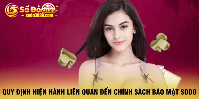 quy-dinh-hien-hanh-lien-quan-den-chinh-sach-bao-mat-sodo